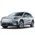 KIA Niro EV (2018-...)