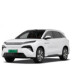 Tang L (2025-...)