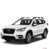 Ascent (WM) (2019-...)